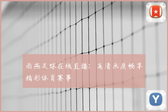雨燕足球在线直播：高清画质畅享精彩体育赛事